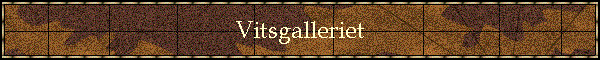 Vitsgalleriet